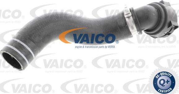 VAICO V24-0833 - Шланг радиатора autosila-amz.com