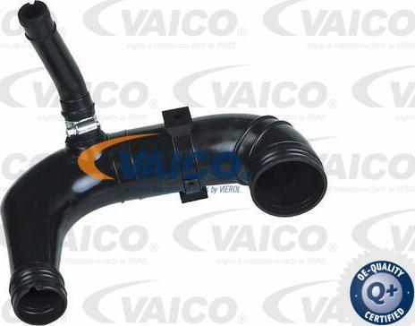 VAICO V24-0729 - Трубка, нагнетание воздуха autosila-amz.com