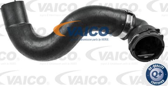 VAICO V24-1168 - Шланг радиатора autosila-amz.com