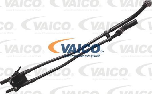 VAICO V24-1170 - Топливопровод autosila-amz.com