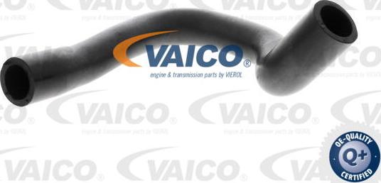 VAICO V24-1291 - Шланг, вентиляция картера autosila-amz.com