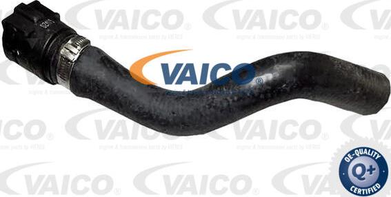 VAICO V24-1278 - Шланг радиатора autosila-amz.com