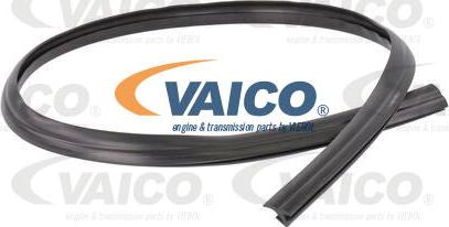 VAICO V25-9701 - Прокладка, ветровое стекло autosila-amz.com