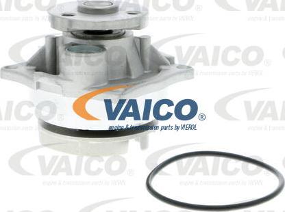 VAICO V25-50011 - Водяной насос autosila-amz.com