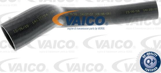 VAICO V25-0948 - Трубка, нагнетание воздуха autosila-amz.com