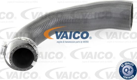 VAICO V25-0947 - Трубка, нагнетание воздуха autosila-amz.com