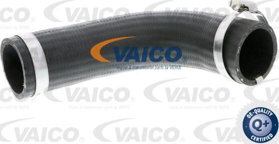 VAICO V25-0987 - Трубка, нагнетание воздуха autosila-amz.com