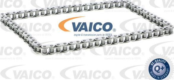 VAICO V25-0818 - Цепь, привод маслонасоса autosila-amz.com