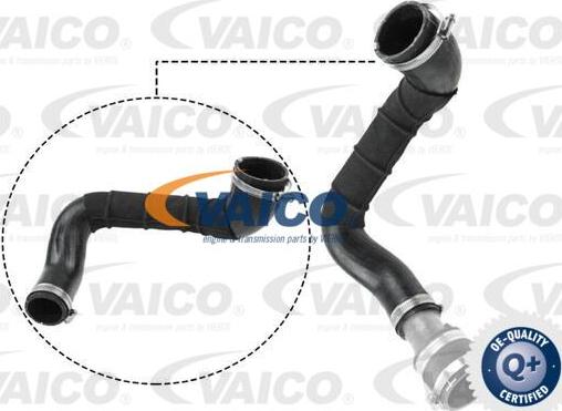 VAICO V25-1049 - Трубка, нагнетание воздуха autosila-amz.com