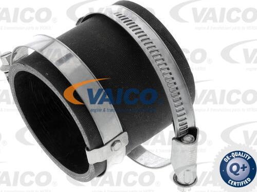 VAICO V25-1048 - Трубка, нагнетание воздуха autosila-amz.com