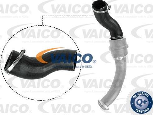 VAICO V25-1057 - Трубка, нагнетание воздуха autosila-amz.com