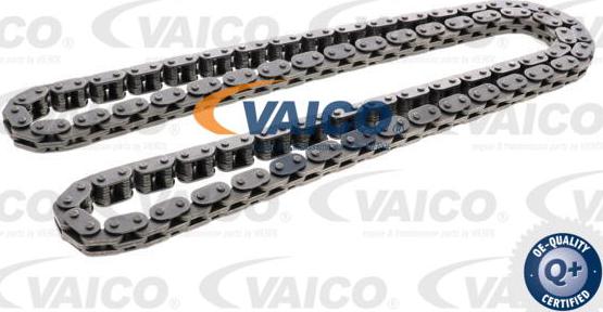 VAICO V25-2099 - Цепь привода распредвала autosila-amz.com