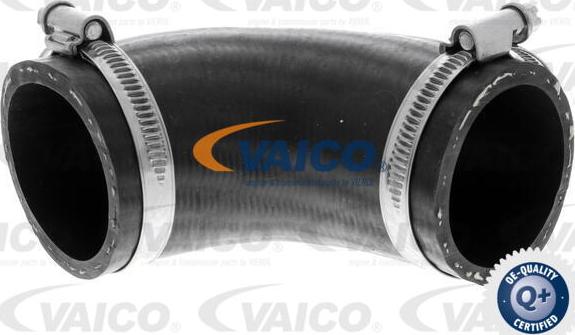 VAICO V25-1016 - Трубка, нагнетание воздуха autosila-amz.com
