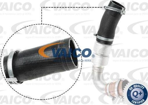 VAICO V25-1036 - Трубка, нагнетание воздуха autosila-amz.com