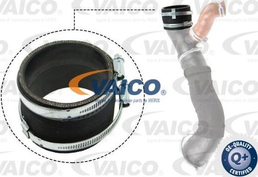 VAICO V25-1031 - Трубка, нагнетание воздуха autosila-amz.com