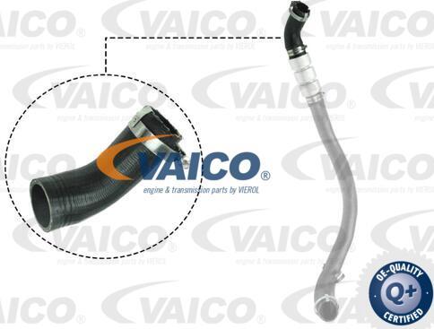 VAICO V25-1037 - Трубка, нагнетание воздуха autosila-amz.com