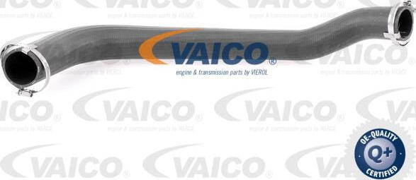 VAICO V25-1025 - Трубка, нагнетание воздуха autosila-amz.com