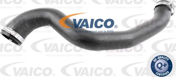 VAICO V25-1028 - Трубка, нагнетание воздуха autosila-amz.com