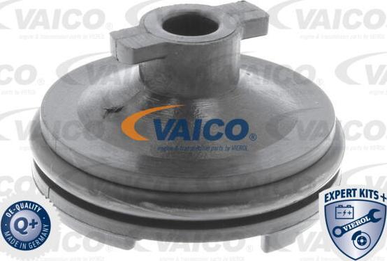 VAICO V25-1116 - Резьбовая пробка, масляный поддон autosila-amz.com