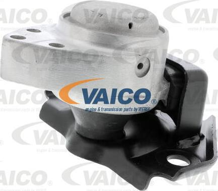 VAICO V25-1134 - Подушка, опора, подвеска двигателя autosila-amz.com