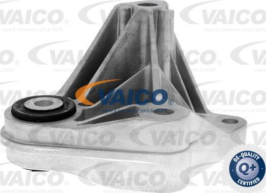 VAICO V25-1258 - Подушка, опора, подвеска двигателя autosila-amz.com