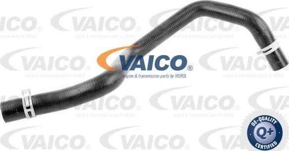 VAICO V25-1201 - Шланг радиатора autosila-amz.com