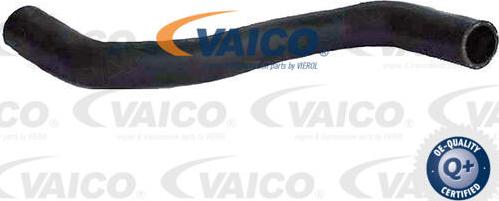 VAICO V25-1216 - Шланг радиатора autosila-amz.com