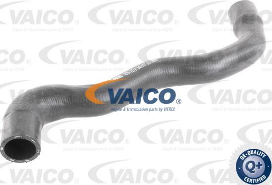 VAICO V25-1217 - Шланг радиатора autosila-amz.com