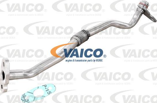 VAICO V25-2593 - Трубка, маслопровод компрессора autosila-amz.com