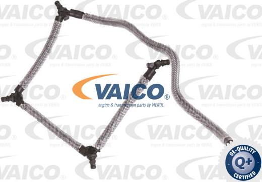 VAICO V25-2559 - Шланг, утечка топлива autosila-amz.com