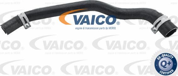 VAICO V25-2564 - Шланг радиатора autosila-amz.com
