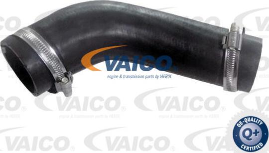 VAICO V25-2560 - Трубка, нагнетание воздуха autosila-amz.com