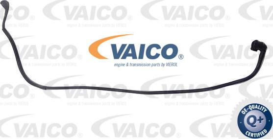 VAICO V20-4352 - Шланг радиатора autosila-amz.com