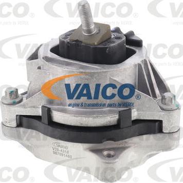 VAICO V20-4318 - Подушка, опора, подвеска двигателя autosila-amz.com