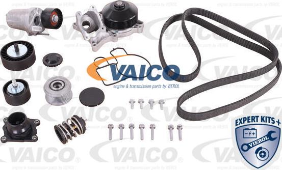 VAICO V20-50100-BEK - Водяной насос + комплект зубчатого ремня ГРМ autosila-amz.com