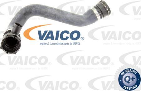 VAICO V20-0865 - Шланг радиатора autosila-amz.com