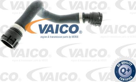 VAICO V20-0884 - Шланг радиатора autosila-amz.com
