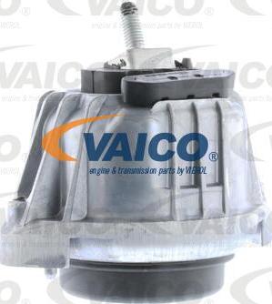VAICO V20-0795 - Подушка, опора, подвеска двигателя autosila-amz.com
