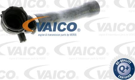 VAICO V20-1925 - Шланг радиатора autosila-amz.com
