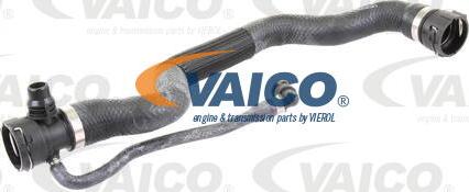 VAICO V20-1695 - Шланг радиатора autosila-amz.com