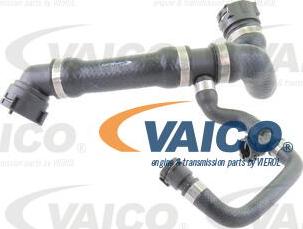 VAICO V20-1657 - Шланг радиатора autosila-amz.com