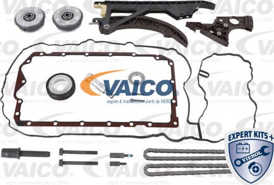 VAICO V20-10020 - Комплект цепи привода распредвала autosila-amz.com