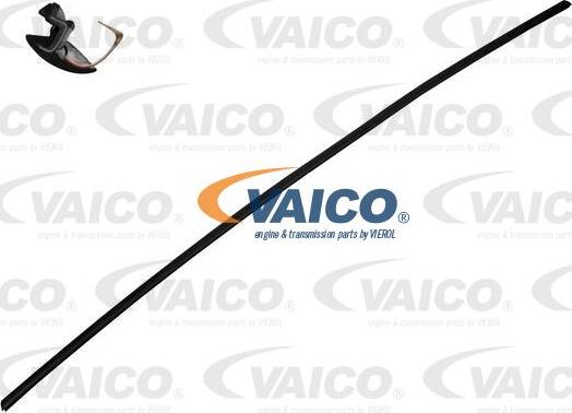 VAICO V20-1869 - Прокладка, ветровое стекло autosila-amz.com
