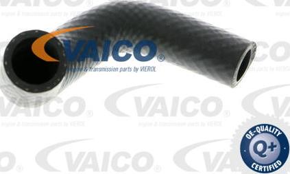 VAICO V20-1348 - Шланг радиатора autosila-amz.com