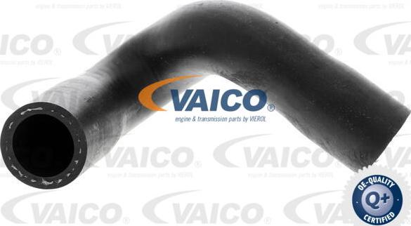 VAICO V20-1347 - Шланг радиатора autosila-amz.com
