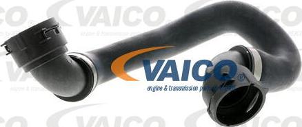 VAICO V20-1310 - Шланг радиатора autosila-amz.com