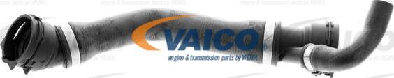 VAICO V20-1331 - Шланг радиатора autosila-amz.com