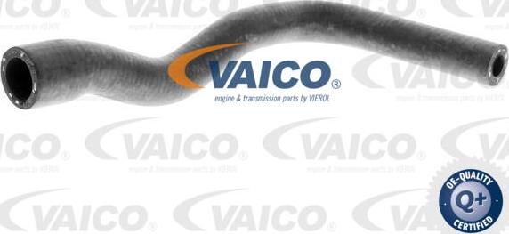 VAICO V20-1240 - Шланг радиатора autosila-amz.com