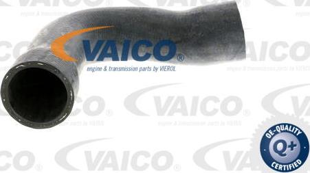 VAICO V20-1250 - Шланг радиатора autosila-amz.com