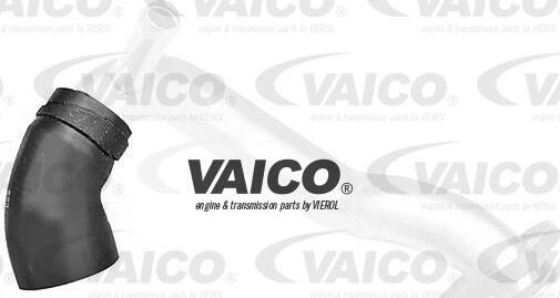 VAICO V20-1258 - Шланг радиатора autosila-amz.com